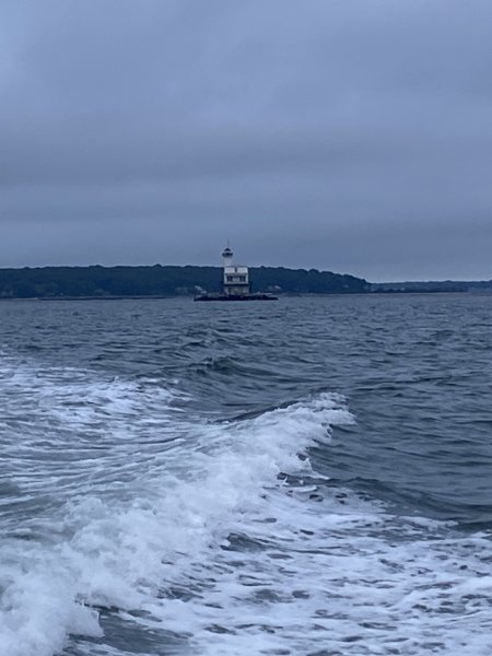 IMG_6022.jpeg