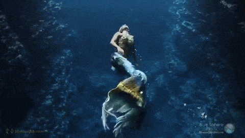 IMG_6023.gif