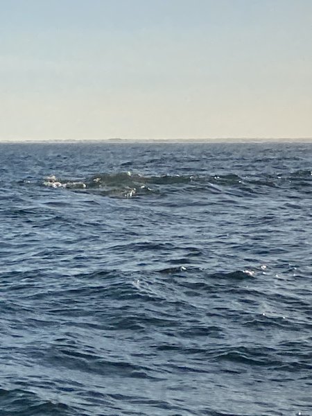 IMG_6163.jpeg