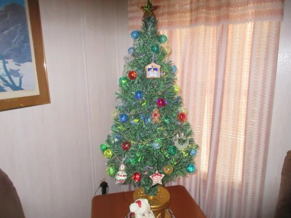 IMG_6292[1].webp