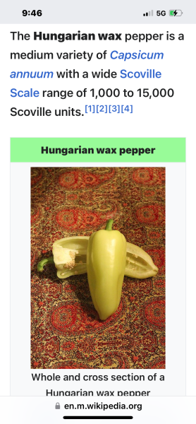 IMG_6544.png