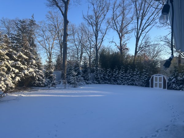 IMG_6603.jpeg
