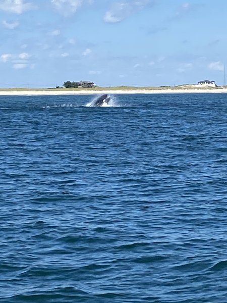 IMG_6764.jpeg