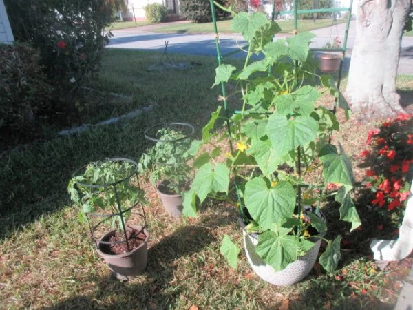 IMG_6805[1].webp