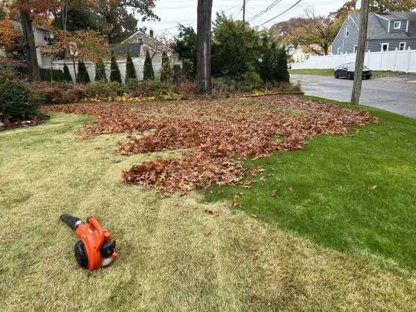 IMG_7075.webp