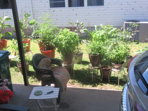 IMG_7083[1].webp