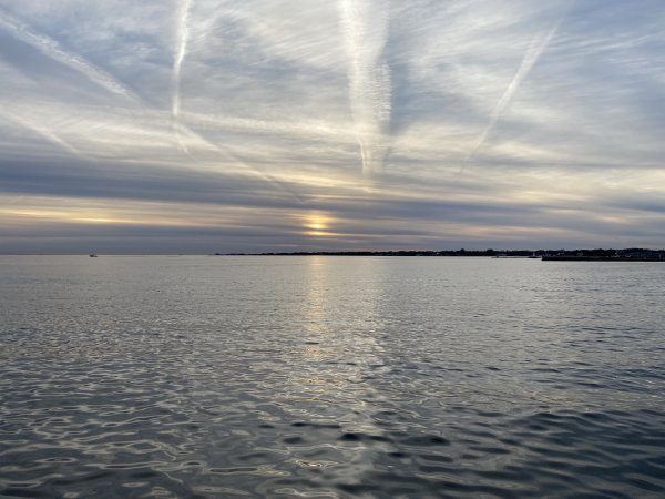 IMG_7320.jpeg