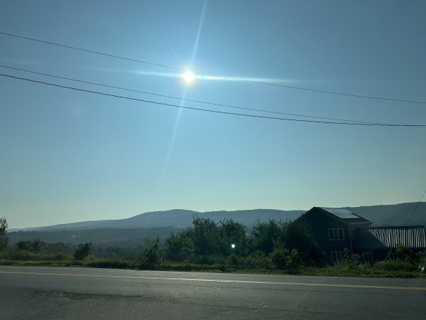 IMG_7509.jpeg