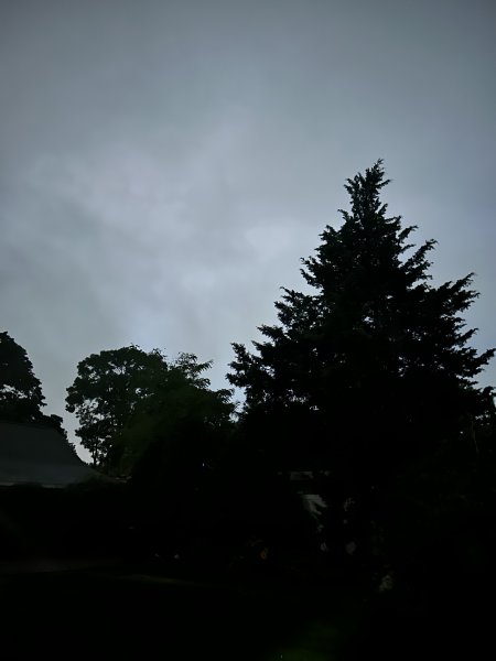 IMG_7789.jpeg