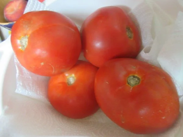 IMG_8017[1].webp
