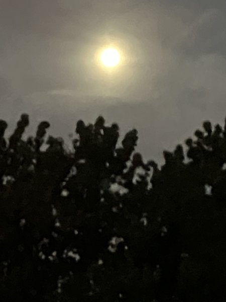 IMG_8052.jpeg