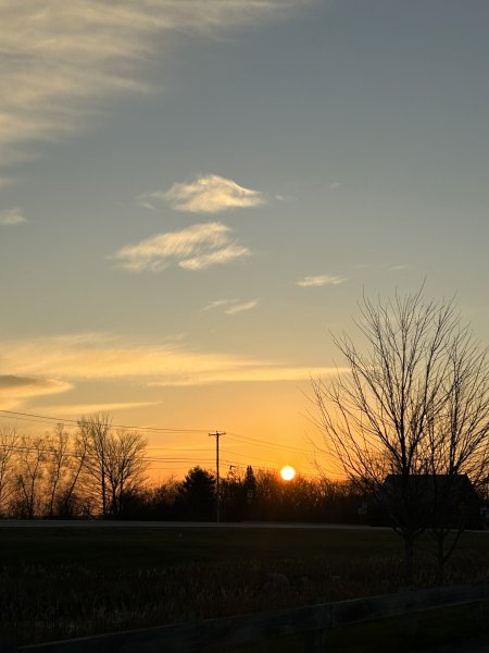 IMG_8386.jpeg