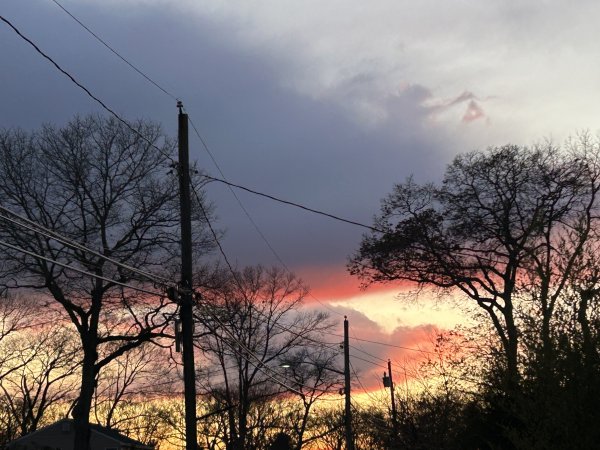 IMG_8413.jpeg