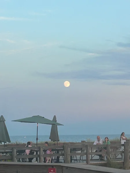IMG_8458.webp