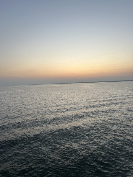 IMG_8710.jpeg