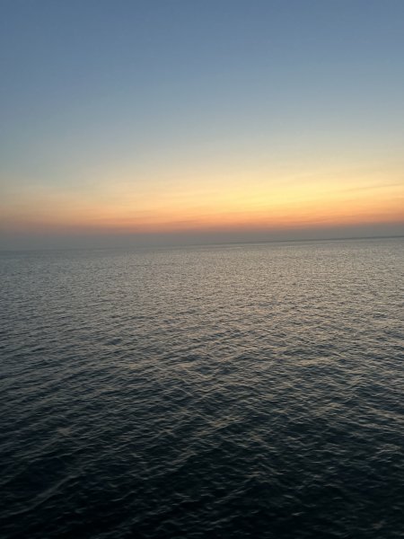 IMG_8711.jpeg