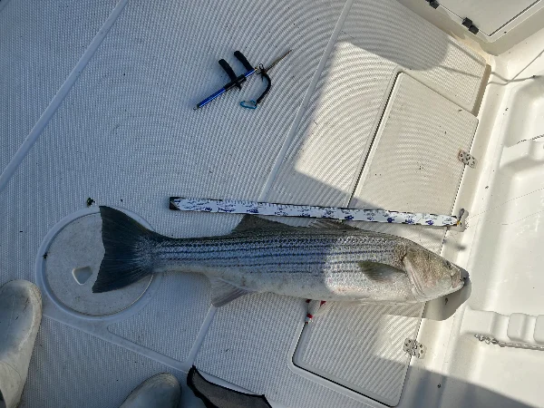 IMG_8768.webp