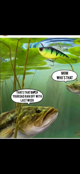 IMG_8881.png