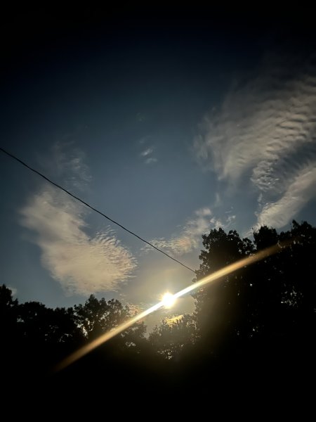 IMG_9059.jpeg