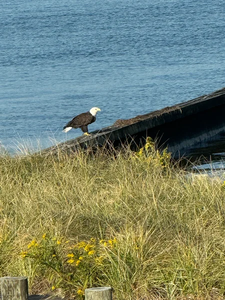 IMG_9064.webp