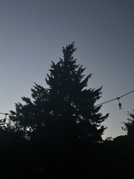 IMG_9253.jpeg