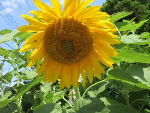 IMG_9536[1].webp