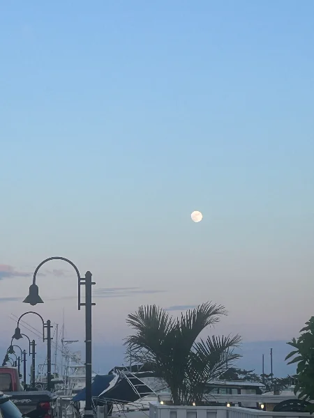 IMG_9841.webp