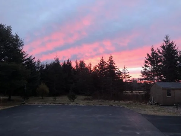jan 18 sunrise.webp