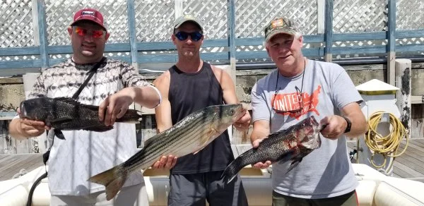 jerrybass81222jpg.webp