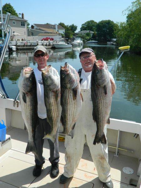 June4 - Mushrooms Bass.JPG