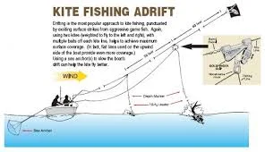kite2.webp