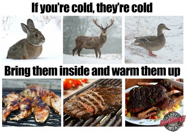 meat.webp
