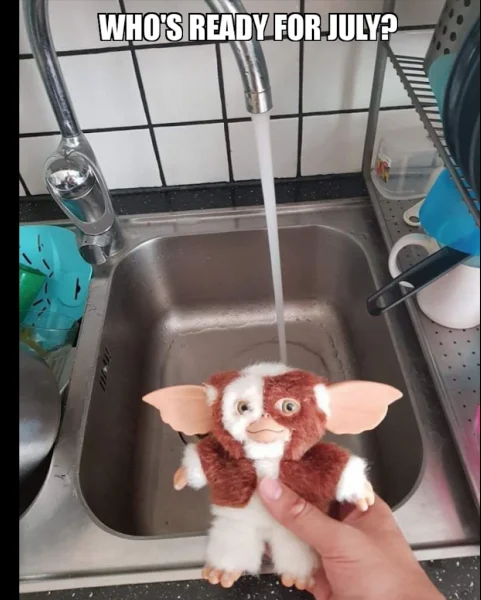 Mogwai.png.4ddcc6c86b7f42aca960937d4bc5dc0a.webp