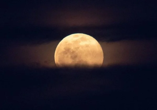 moon.webp
