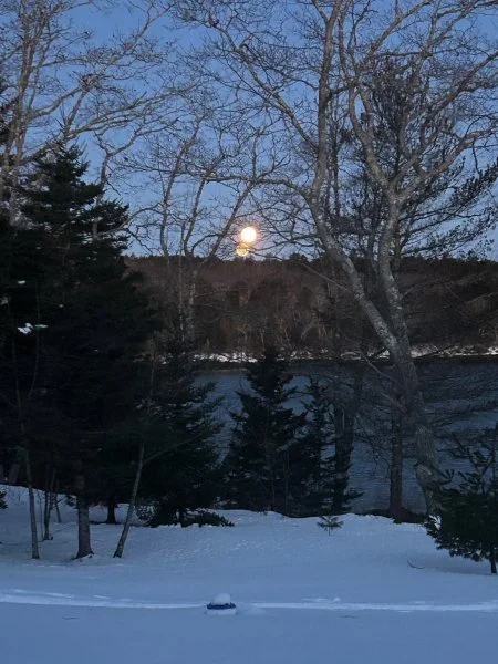 moonset low res.webp