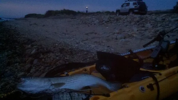 Mtk Dawn 1.jpg