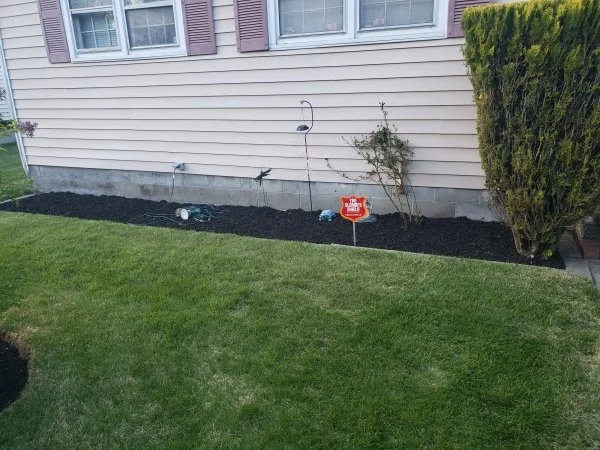 mulch1.webp