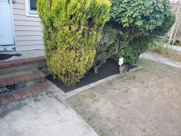 mulch2.webp