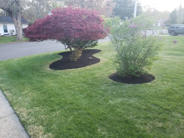 mulch4.webp