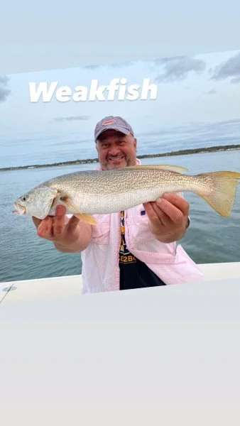 naderweakfish91620.webp