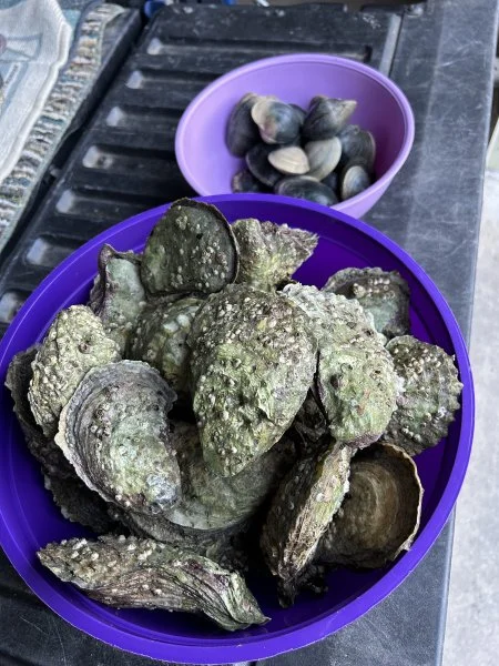 nov 25 23 shellfish number 1.webp