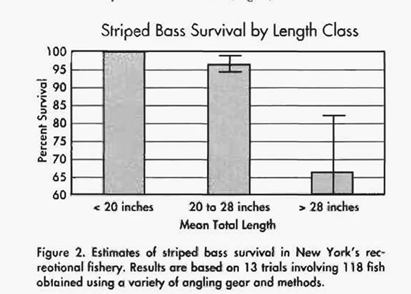 nysstudy.webp