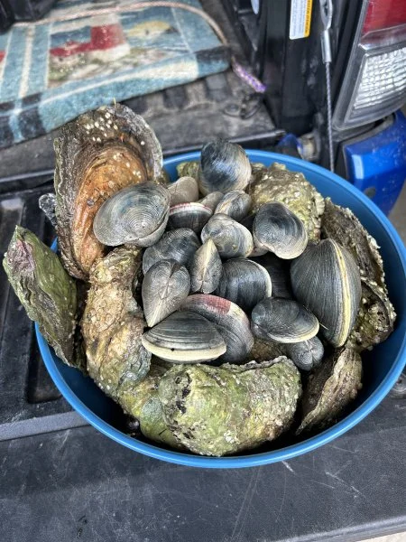 oct 23 shelfish.webp