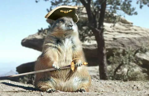 pablo squirell.webp