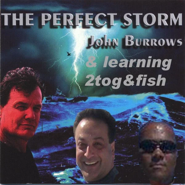 perfect storm copy.webp