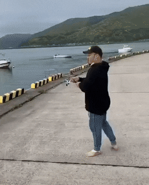 RemoteObedientLcont-size_restricted.gif