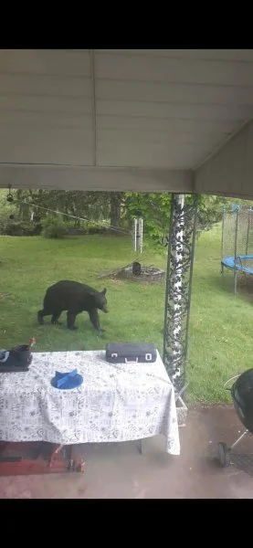 Resized_Screenshot_20200523-094305_Photos.webp