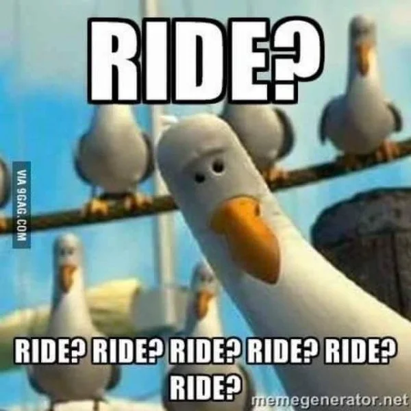 ride.webp