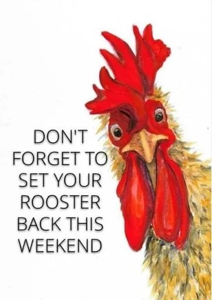 rooster_e2530460784b251bb17b45163fee45fc55046e92.webp