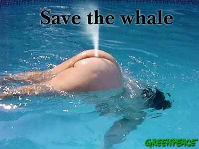 save-the-whale-fat-girl-pool.jpg